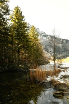 Sehnsucht nach Wärme