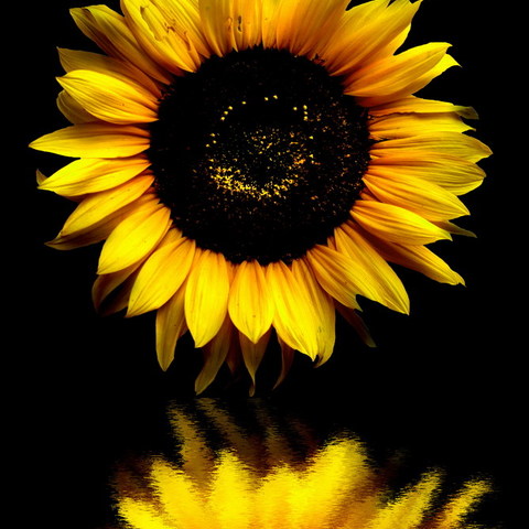 Light in the dark