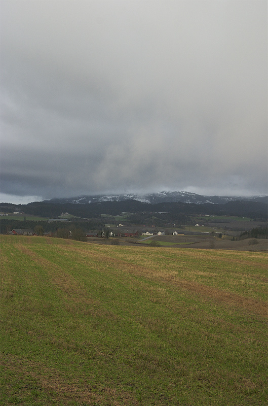 Grüner Winter