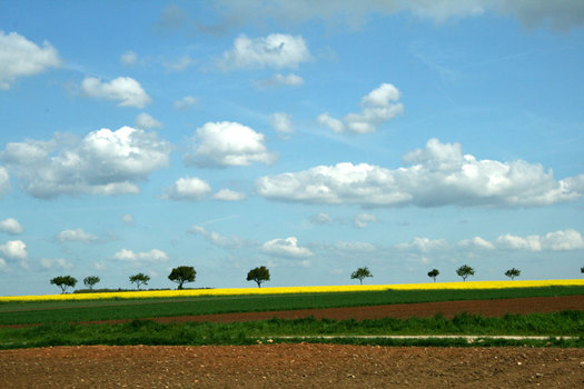 Vietel unter dem Manhartsberg