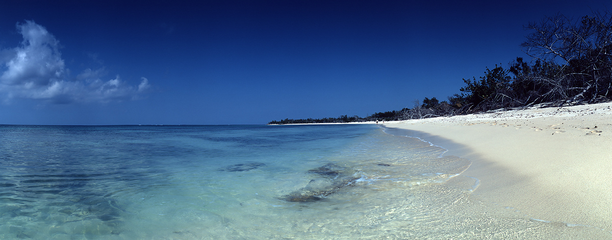 Paradise