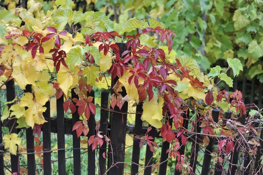 Herbst 2