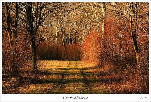Vorfrühling