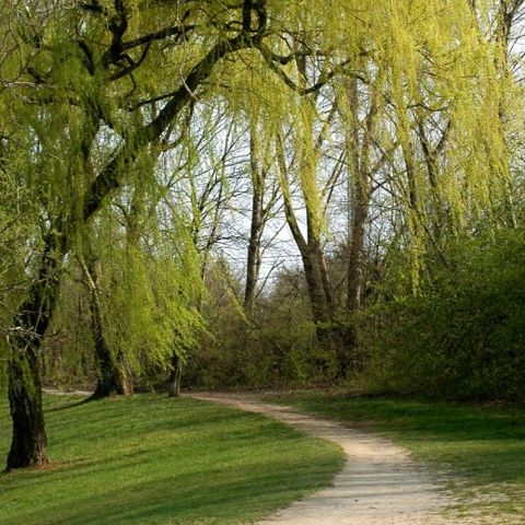 Der Weg ins Grüne 2
