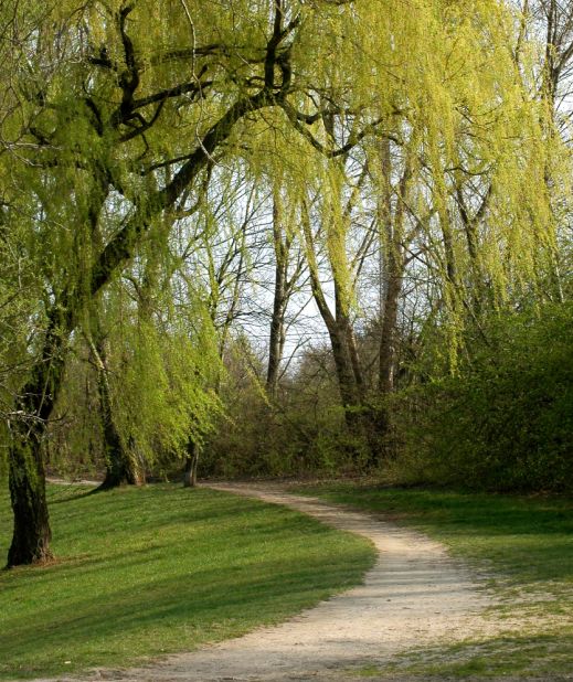 Der Weg ins Grüne 2