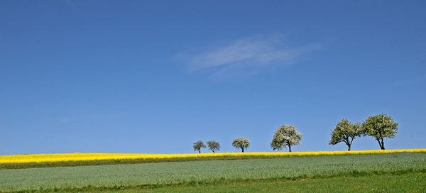 Frühling