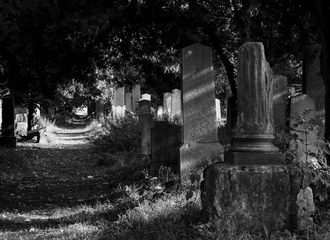 es lebe der zentralfriedhof1