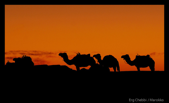 Erg Chebbi