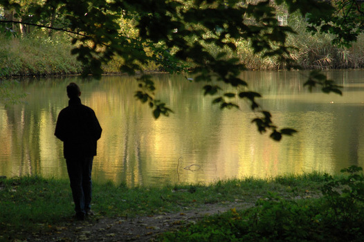 am teich