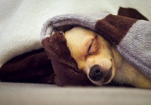 brrrrrr, kalt ist es