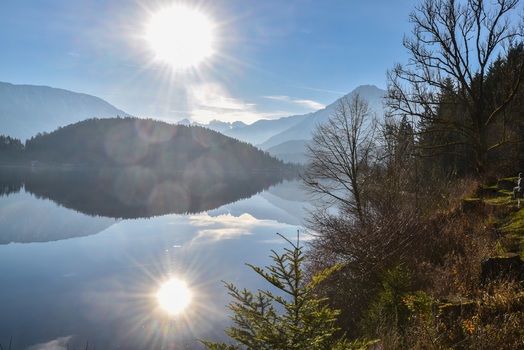Winter Sunshine