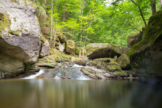 Grüner Tümpel im Pesenbachtal