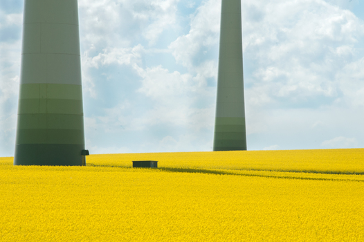 wind wheels paradise