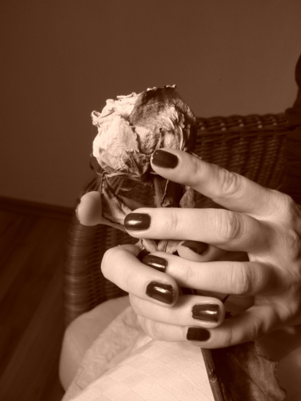 a rose in your hand