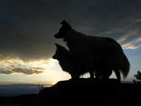 Sunset am Berg