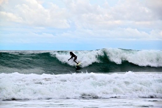 Pura Vida