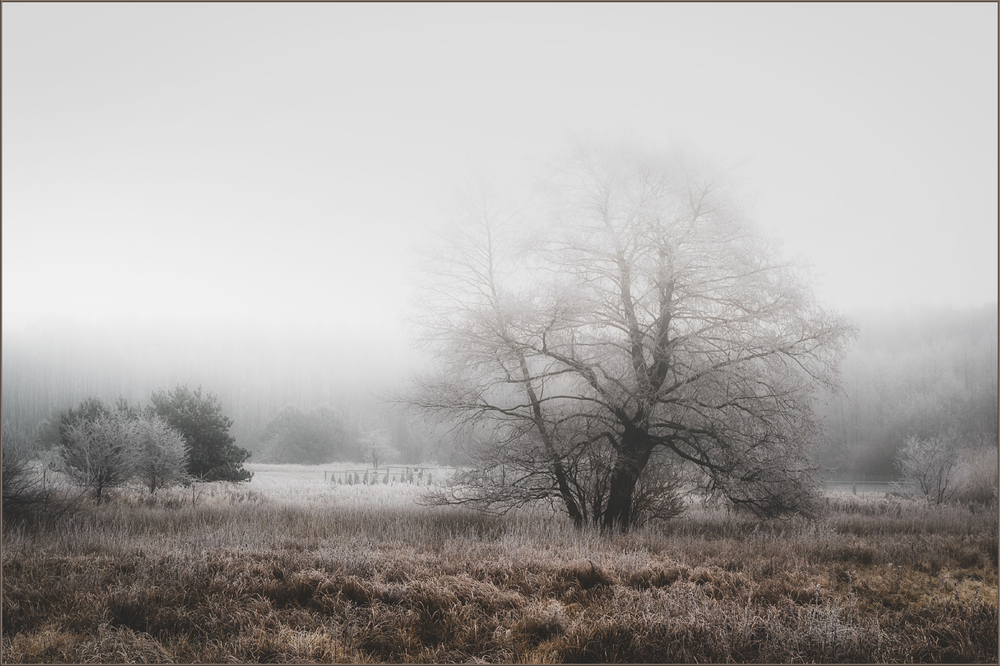 Phantasie ist wie Realität im Nebel.​