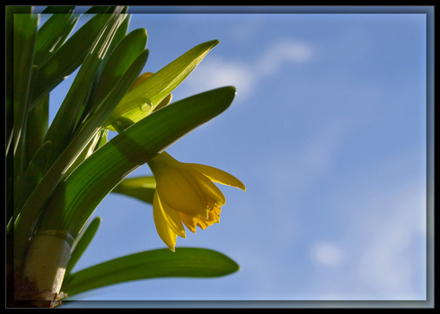 Frühling
