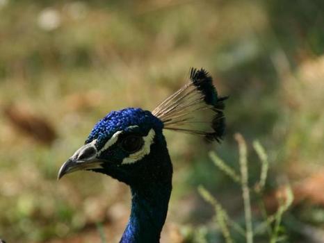 Im Tierpark Pamhagen