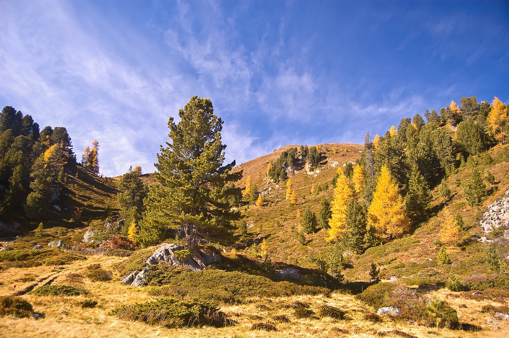 Auf der Nockalm