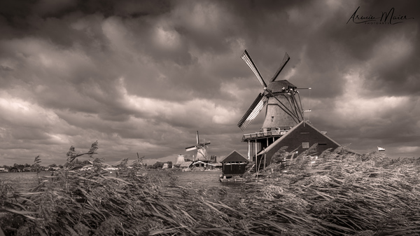 Windmühlen in Zaanse Schans / Holland 2019