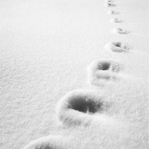 schneespuren-test1