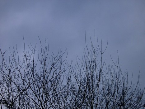 Tristesse
