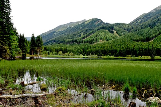 Ingeringsee