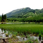 Ingeringsee