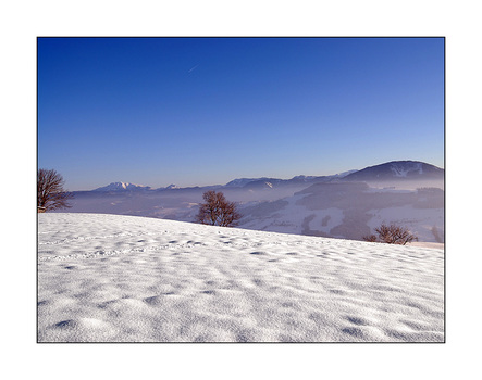 Ybbstaler Alpen