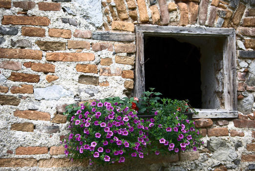 Window nostalgie