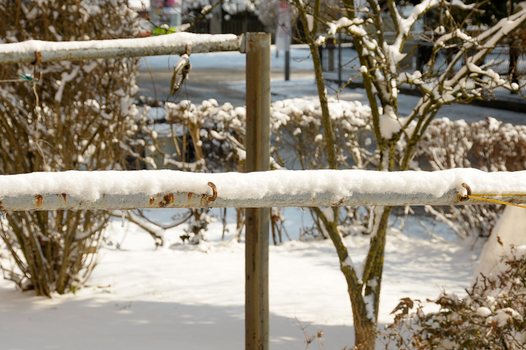 Schnee und Sonne!