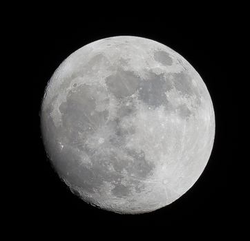 Mond